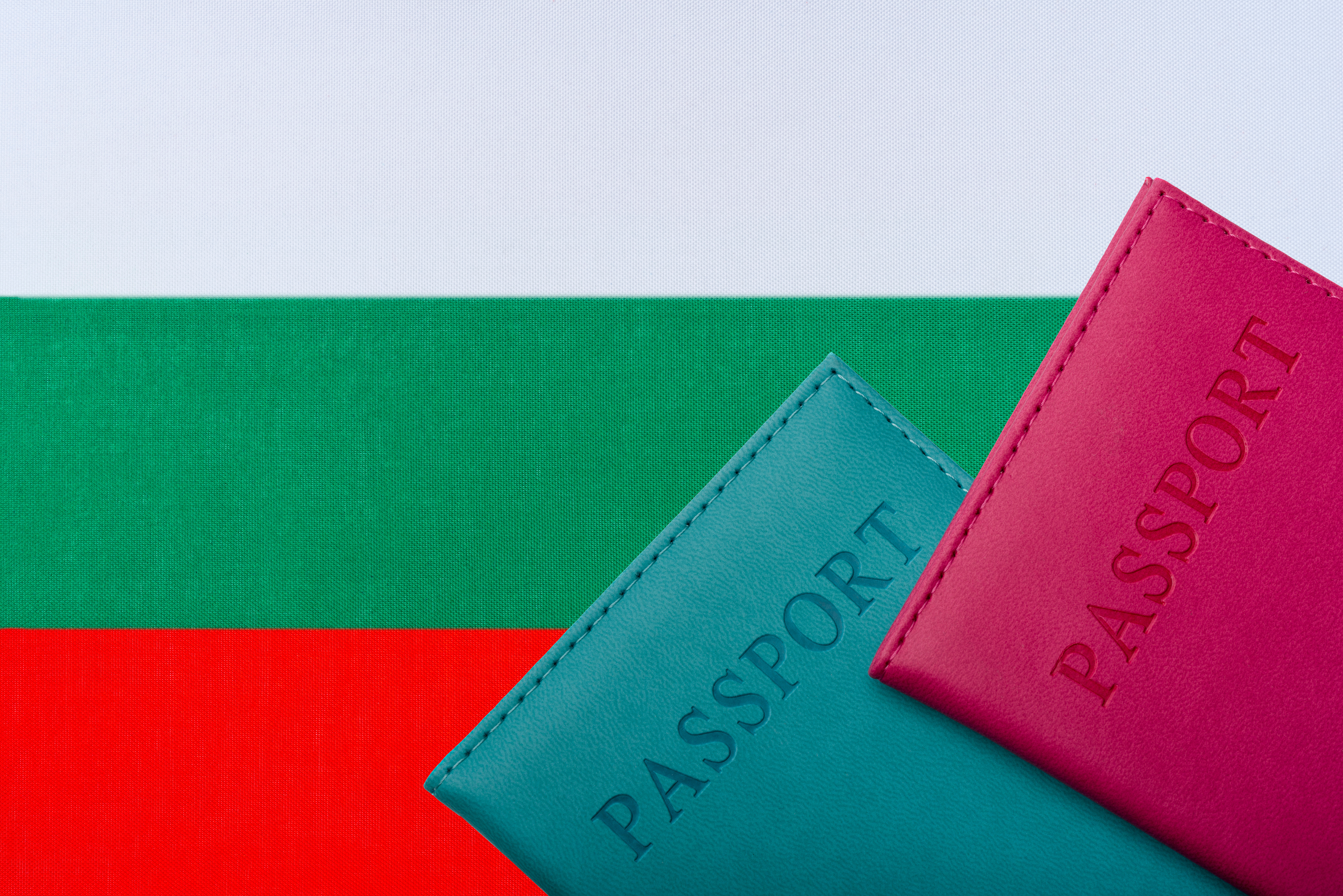Проверка гражданства Болгарии: как узнать статус обработки заявления на болгарское гражданство