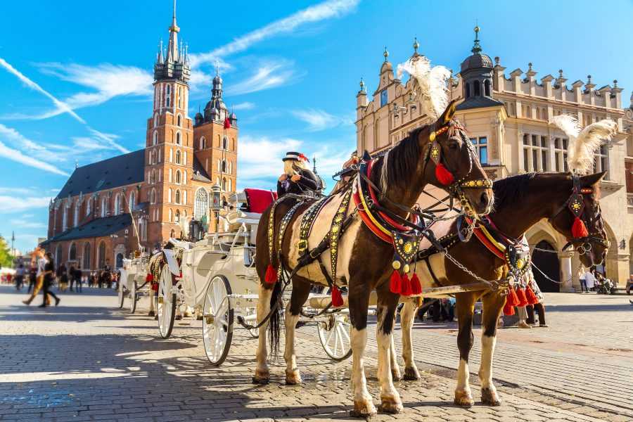 Гражданство Польши по репатриации