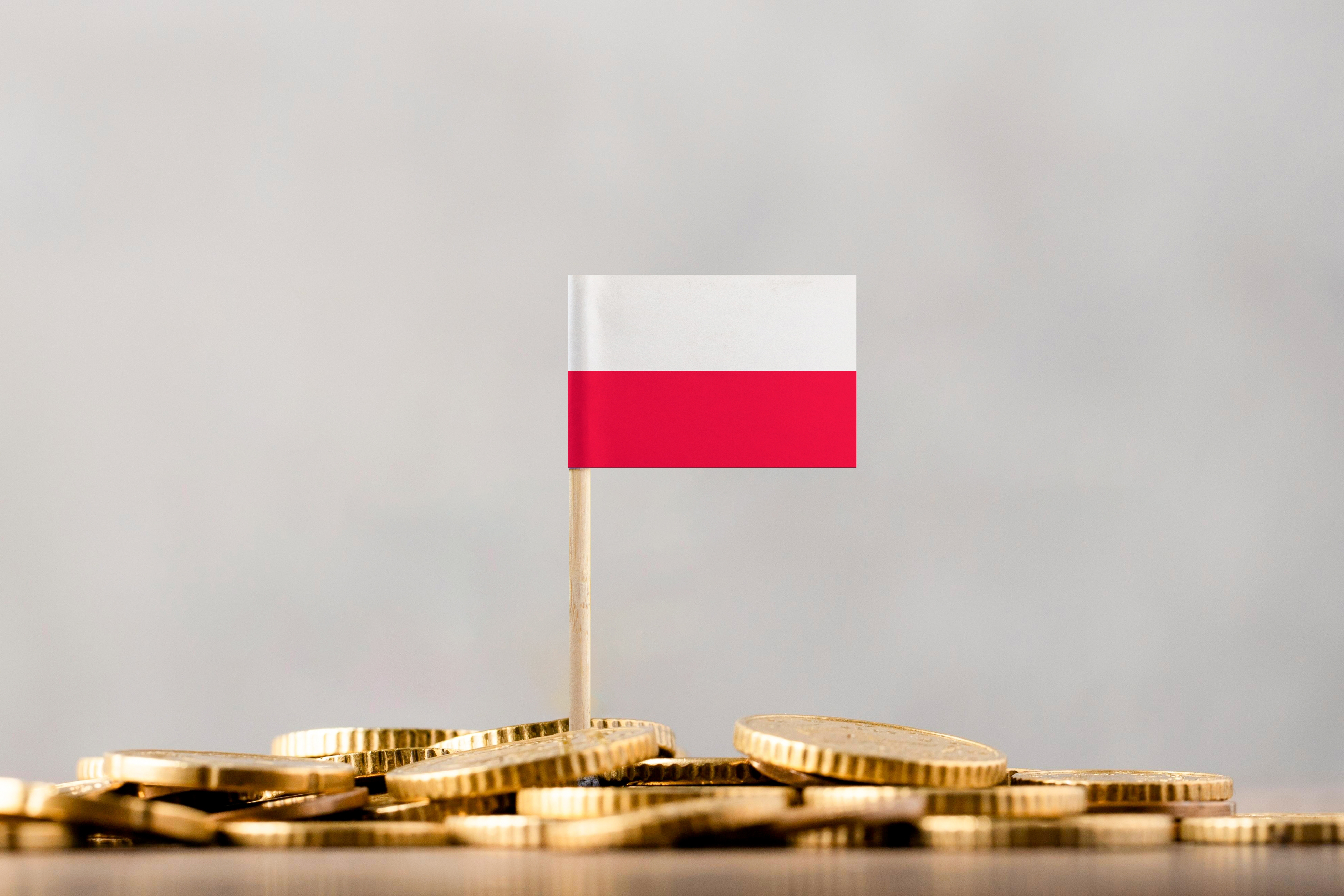 Как открыть фирму в Польше: порядок и условия регистрации компании