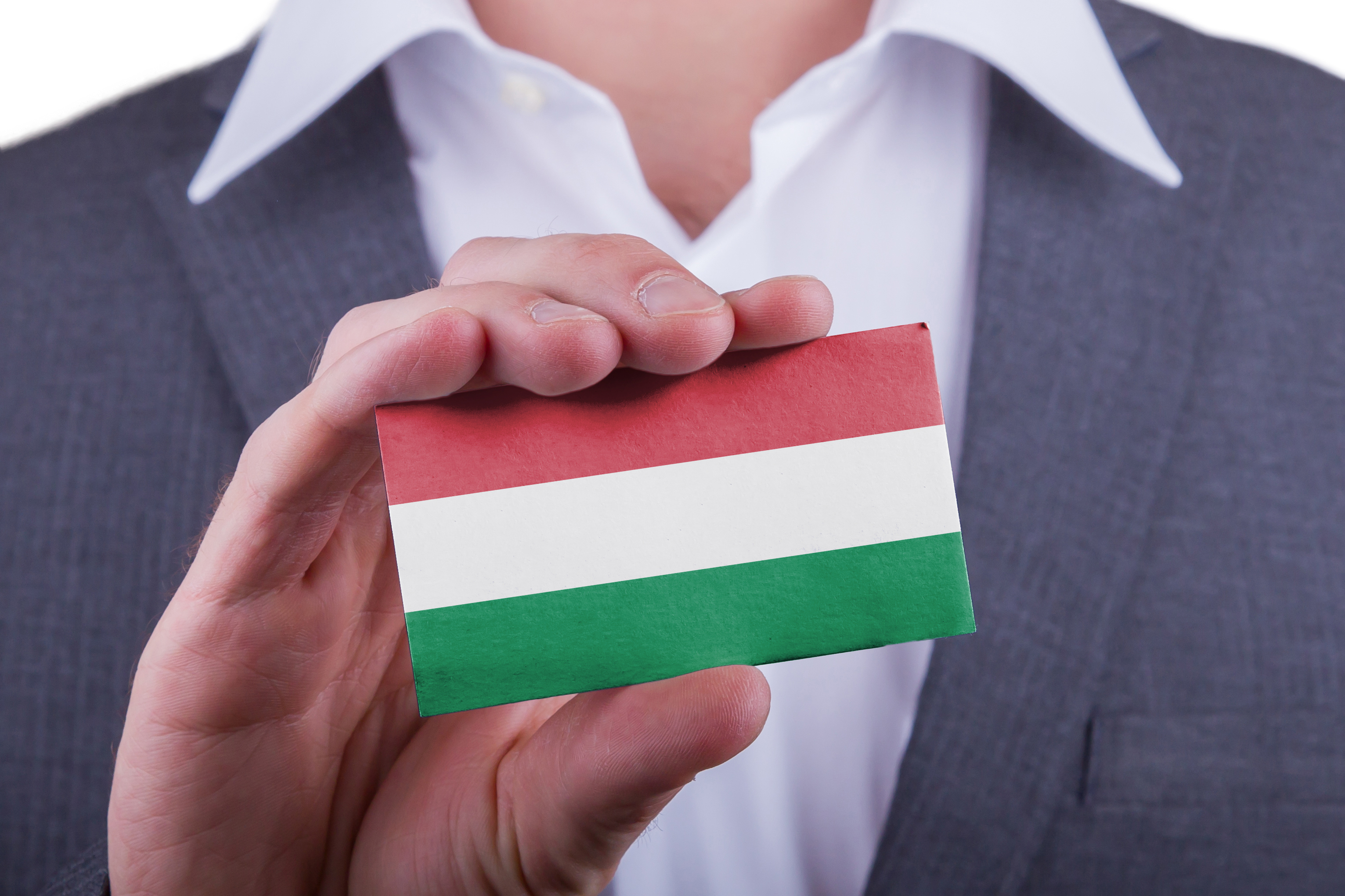 Бизнес в Венгрии: от бизнес-идеи до регистрации компании в 2024 году