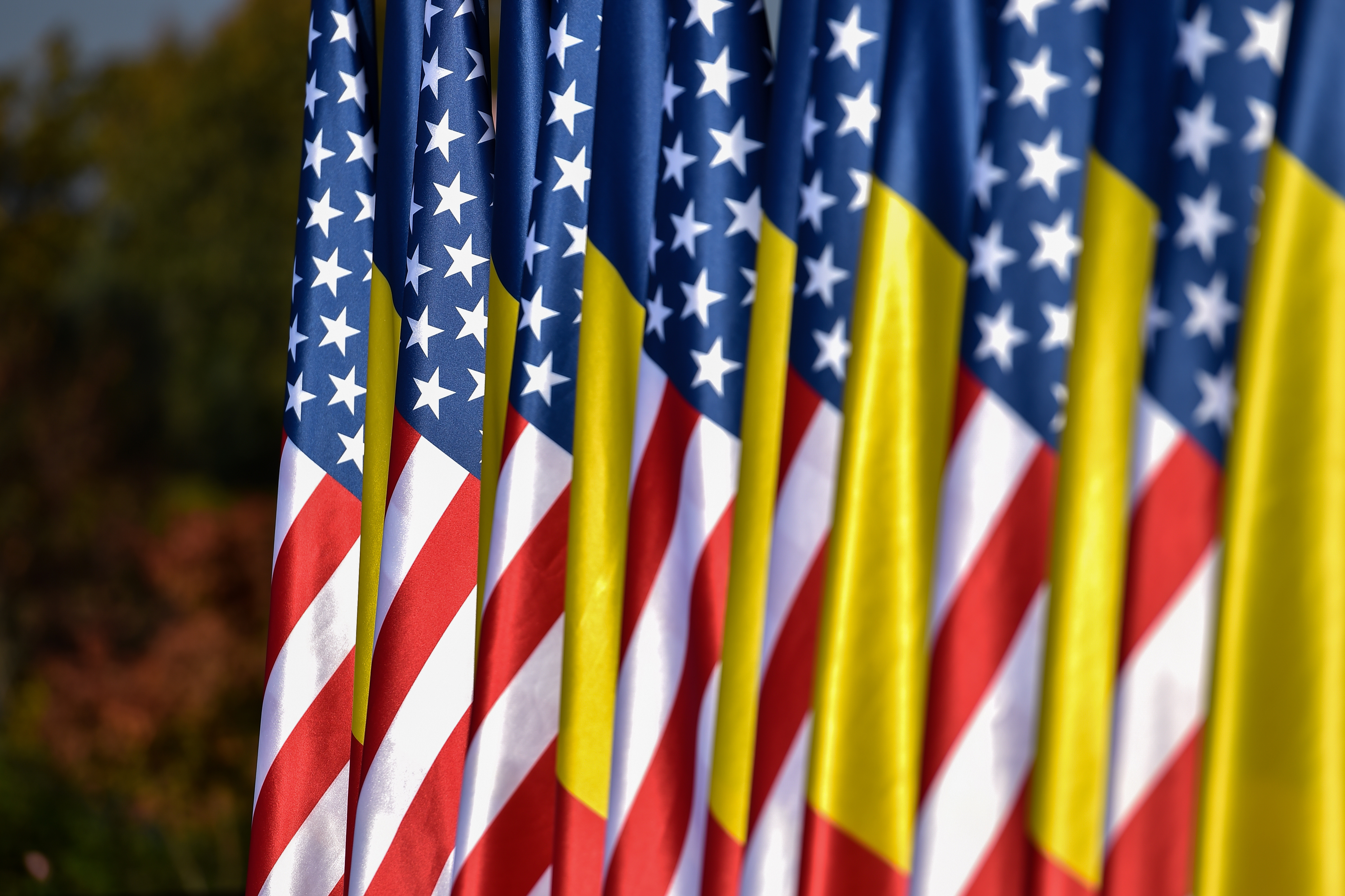 Виза в США гражданам Румынии: нужна ли, как получить в 2024 году