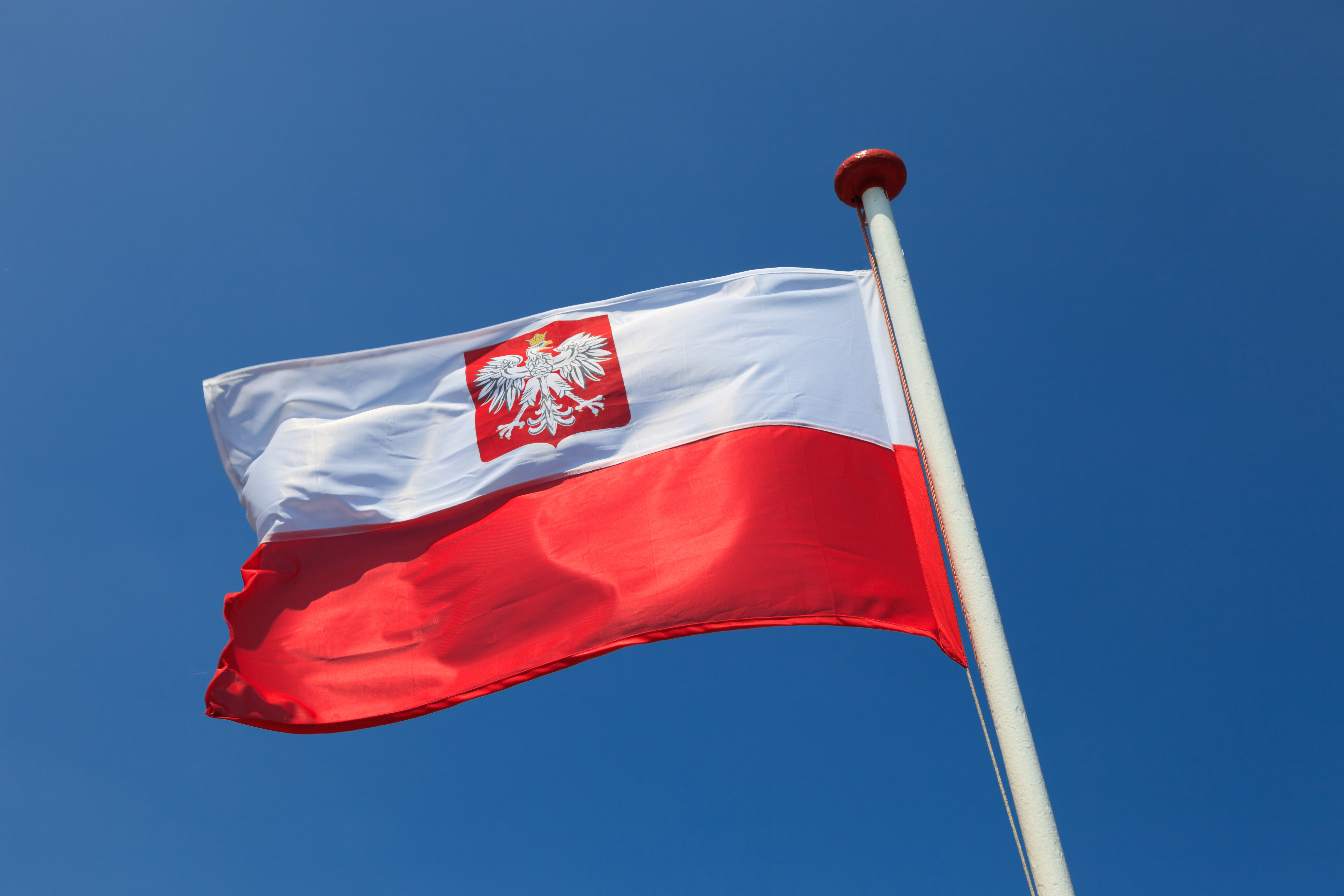 Двойное и второе гражданство в Польше: кто имеет право, как получить, документы