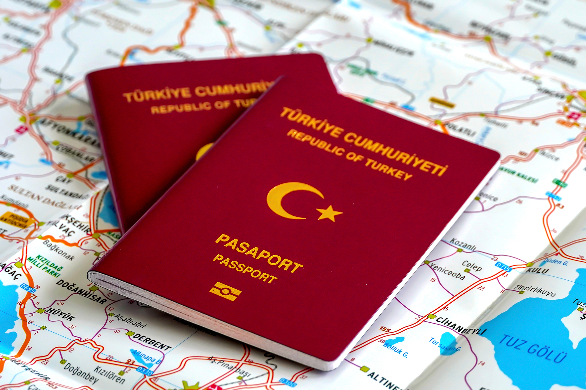 Двойное гражданство в Турции