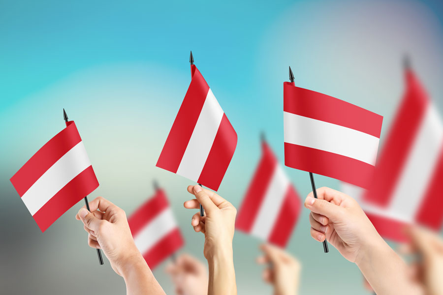 Австрийские флажки в руках людей