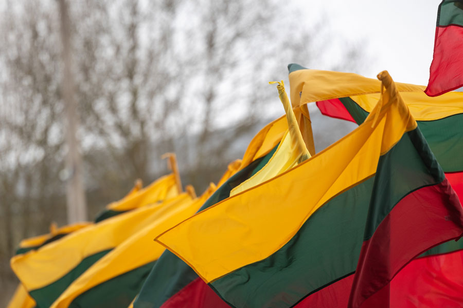 Национальные флаги Литвы