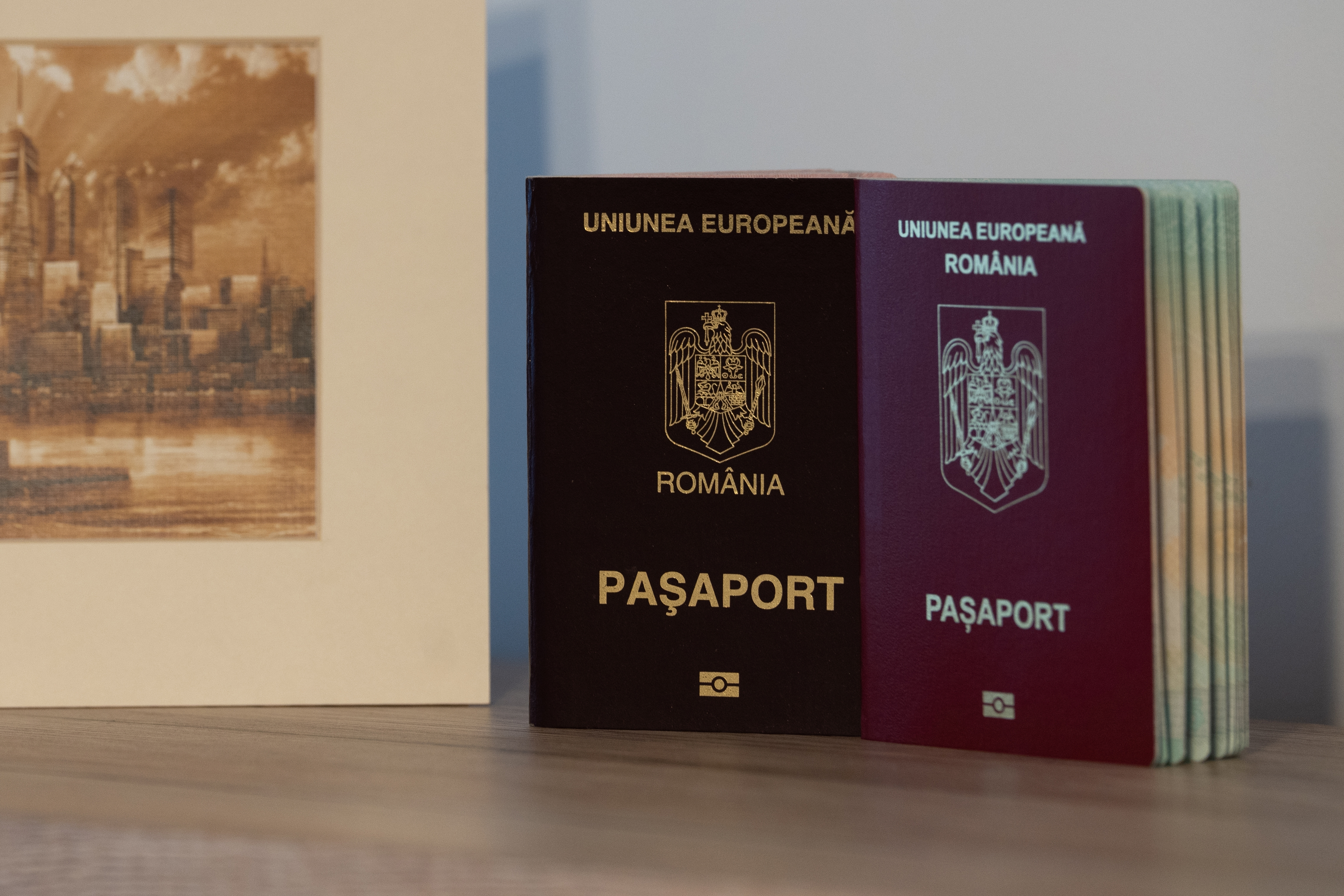 Полученный паспорт Румынии после принятия присяги