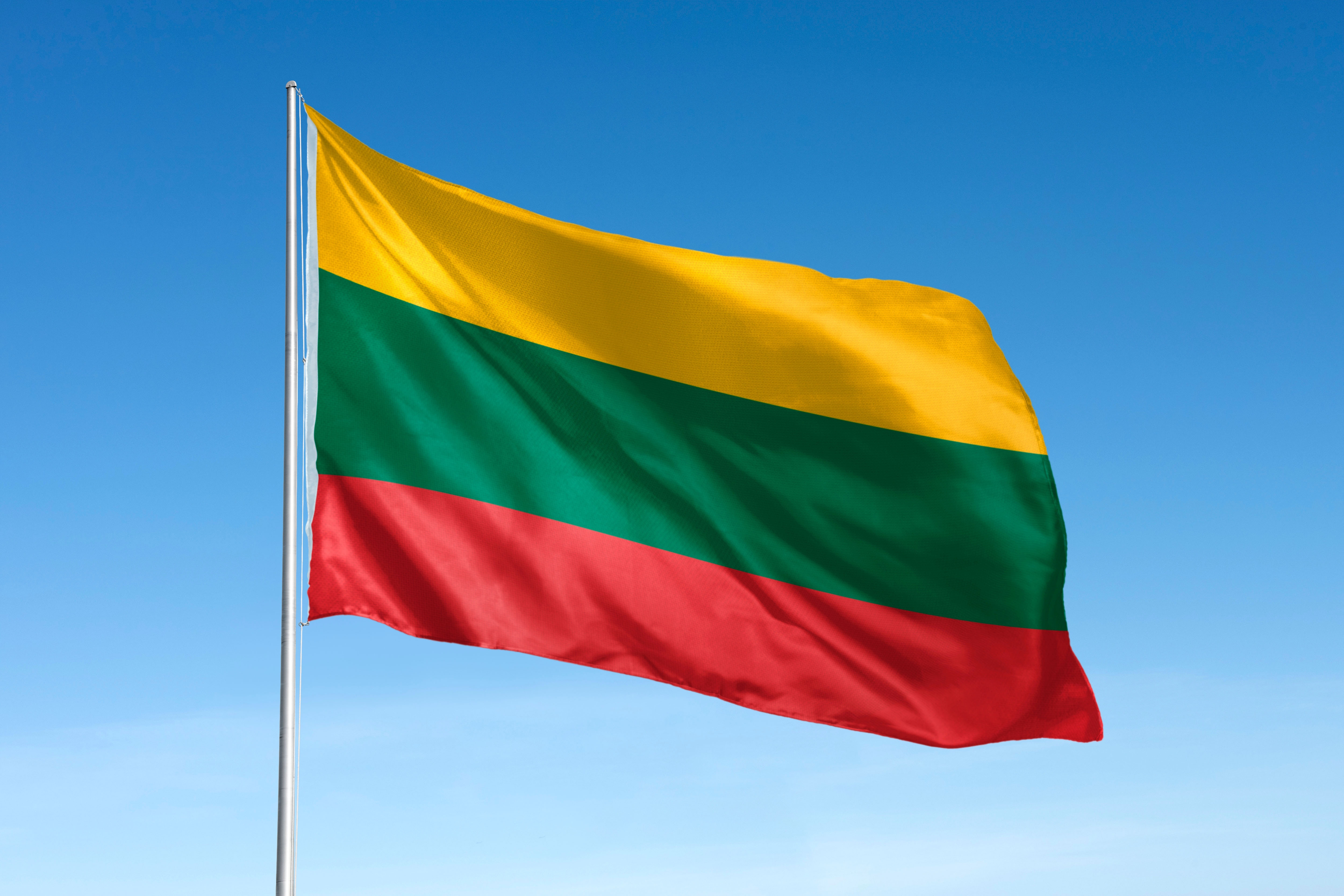 Гражданство Литвы